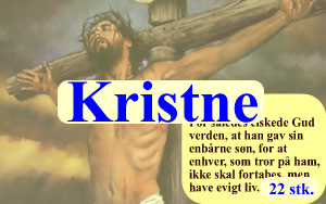 Religi&oslash;se vilder