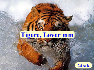 Tigere & L&oslash;ver