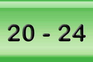 Antal spørgsmål: 20 - 24